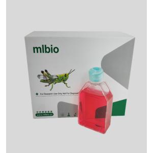 鴨胚成纖維細胞主圖